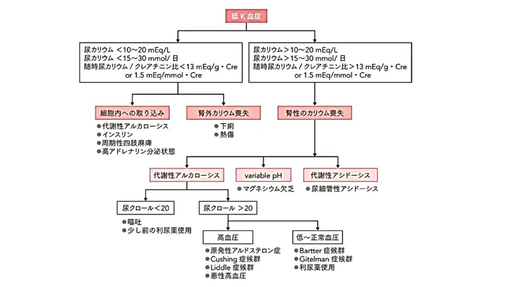 低K血症（低カリウム血症）の鑑別、診断、治療（薬剤変更時換算法）