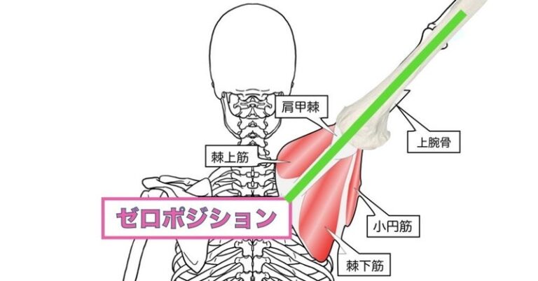 肩関節脱臼：診断と治療