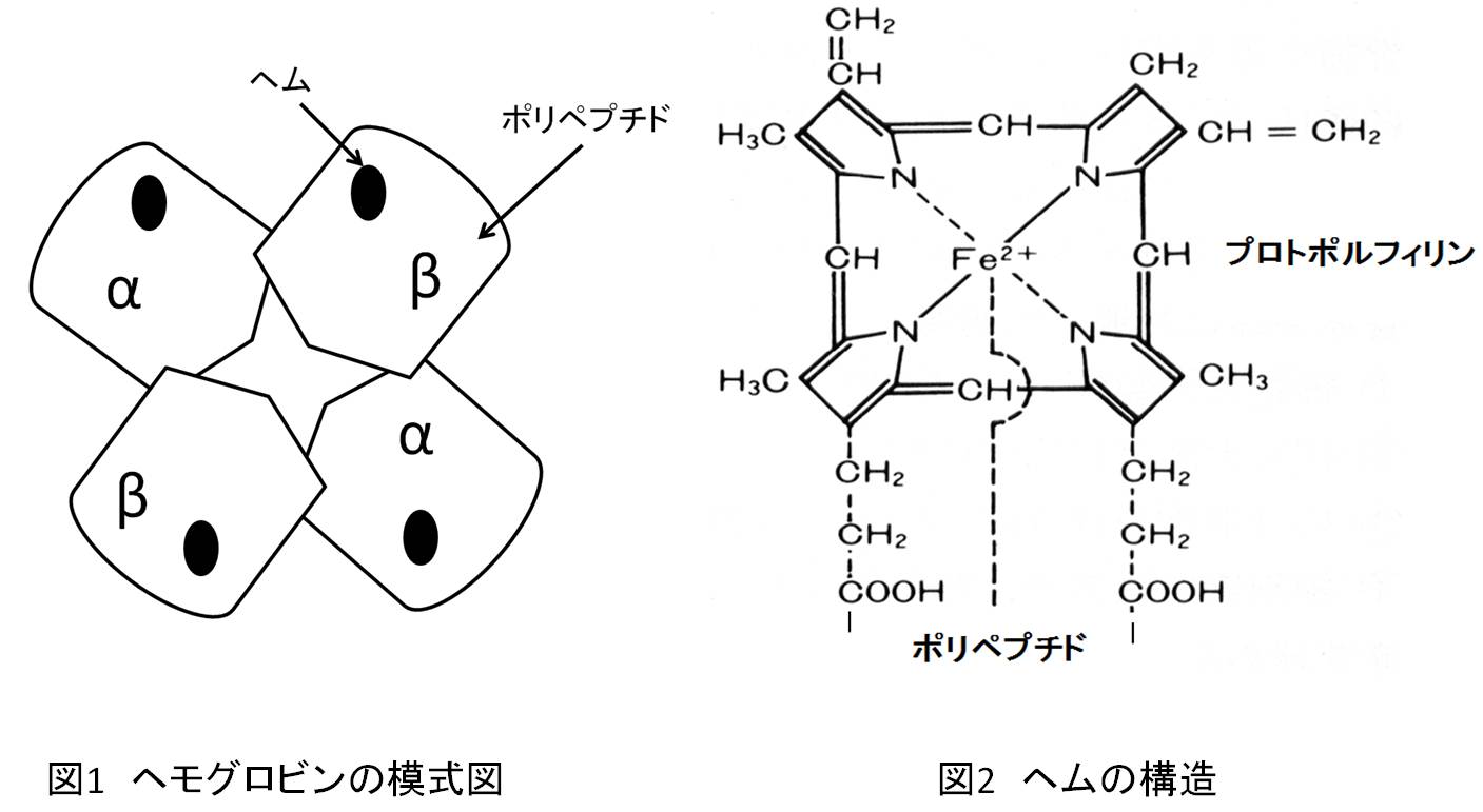 鎌状赤血球症とうつ病